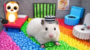 Сборник веселых приключений хомяка