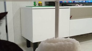 буська смешная хахахах