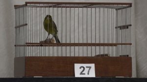 часть 3 конкурс 2025 года.mp4