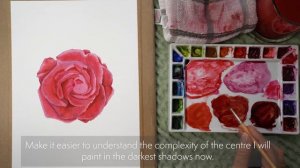 Как нарисовать реалистичную яркую красную розу акварелью 🌹 Успокаивающая картина