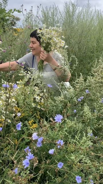 Не затянулась ли зима?