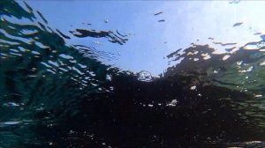 Шансон под водой у берегов Ялты