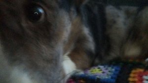 Целых 5 страшных историй.