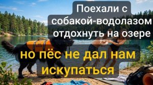 Истории из жизни \ Поехали с собакой-водолазом отдохнуть на озере, но