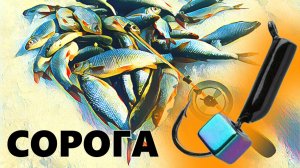 СОРОГА на БЕЗМОТЫЛКУ весной - ушли от рыбы!!!