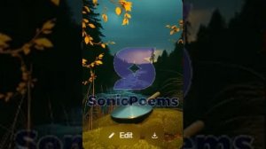 Сергей Есенин — Буря (вар2)