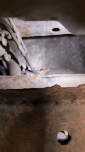 Выявили скрип