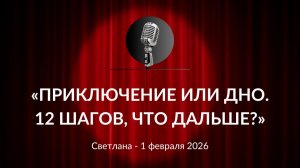 «Приключение или дно. 12 шагов, что дальше?» Светлана 01.02.2026