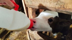 Рановато пока.. Сделали вытяжку и свет