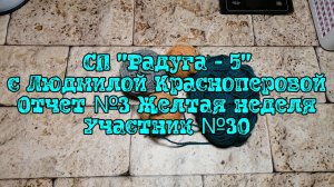 СП "Радуга - 5" с Людмилой Красноперовой /Отчет №3 Желтая неделя /Участник №30