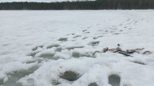 Два дня на озере.Опять плотва