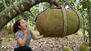 Продаю гигантский джекфрут весом по 40 килограмм на фруктовом рынке. Энн. Жизнь во Вьетнаме