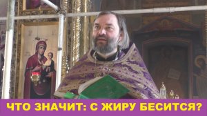 Что значит: с жиру бесится? Священник Валерий Сосковец