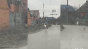 22.03.26. Заметка от каналов «Записки ветерана», «Просто Михаил Шебекино». ✍️⬇️