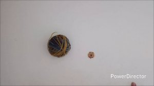 СП " Радуга 5" жёлтая неделя.