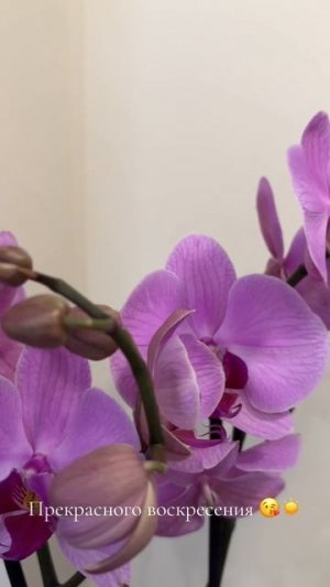 Чудесного вечера 🥰