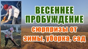 59. САДОВО-ОГОРОДНЫЙ СЕЗОН НАЧАЛИ! Проверка коммуникация, уборка, борьба с вредителями.