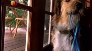 Анонс и рекламный блок (Домашний, 22.03.2012) наоборот