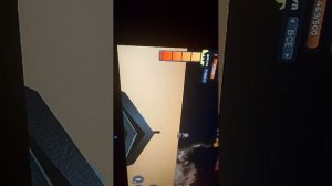 это я играю в храбрый хавок