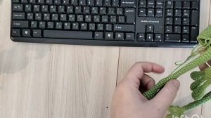 Бешеные крючки 9.0. Отчёт 1