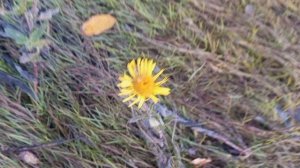 Рубрика "Мои фотографии"