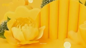 Кроличья деревня 2 - Премьера! Вторник. 19:00 (СТС) + Заставка рекламы (2026)