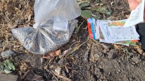 Перевалка томатов и перцев 🔥