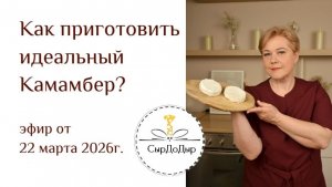 Эфир Камамбер 22 марта 2026г.