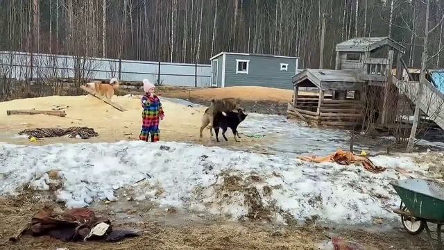 Весна в Приюте "Надежда"