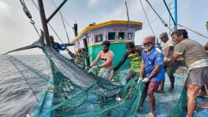 На седьмой день мы побывали в открытом море и поймали рыбу