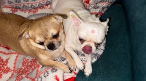 Доброго всем вечера и самой спокойной ночи.