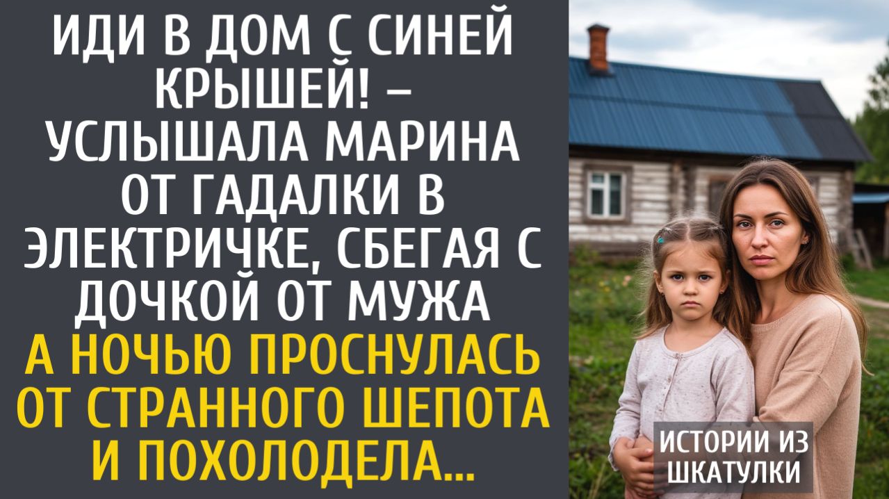 Истории из жизни Иди в дом с синей крышей – услышала Марина от гадалки в электричке, сбегая с дочкой