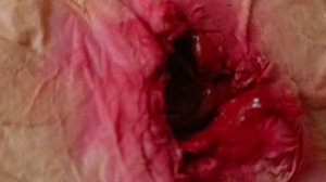 Oaoaoao oblozhka carapina 😂😂😂