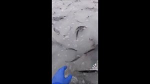 Рыбалка на озере Рылеево и на Дону, город Воронеж, мкр. Малышево, 20 марта 2026 года