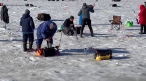 Поимка форели