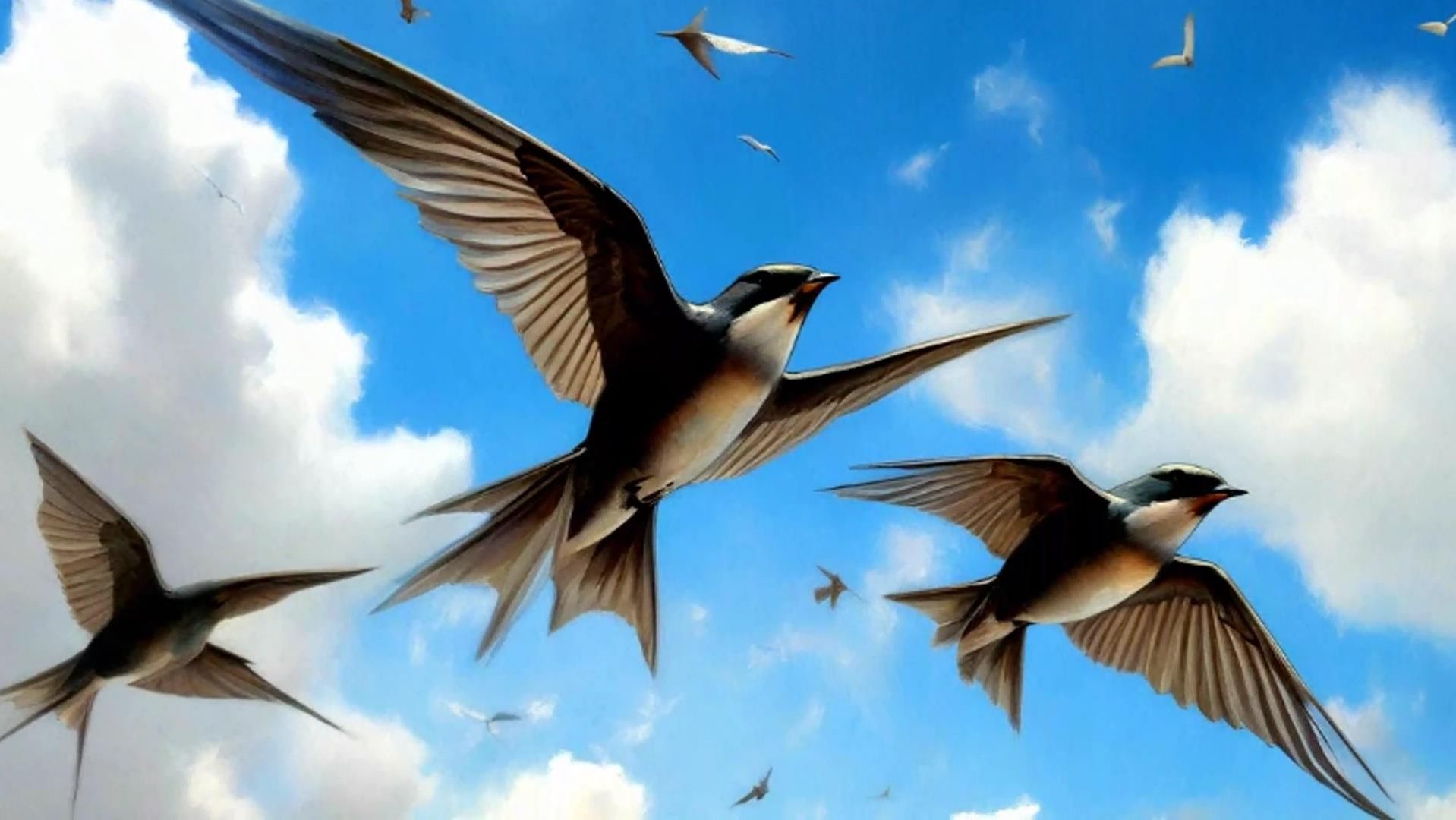 Народные праздники марта с 26 по 31