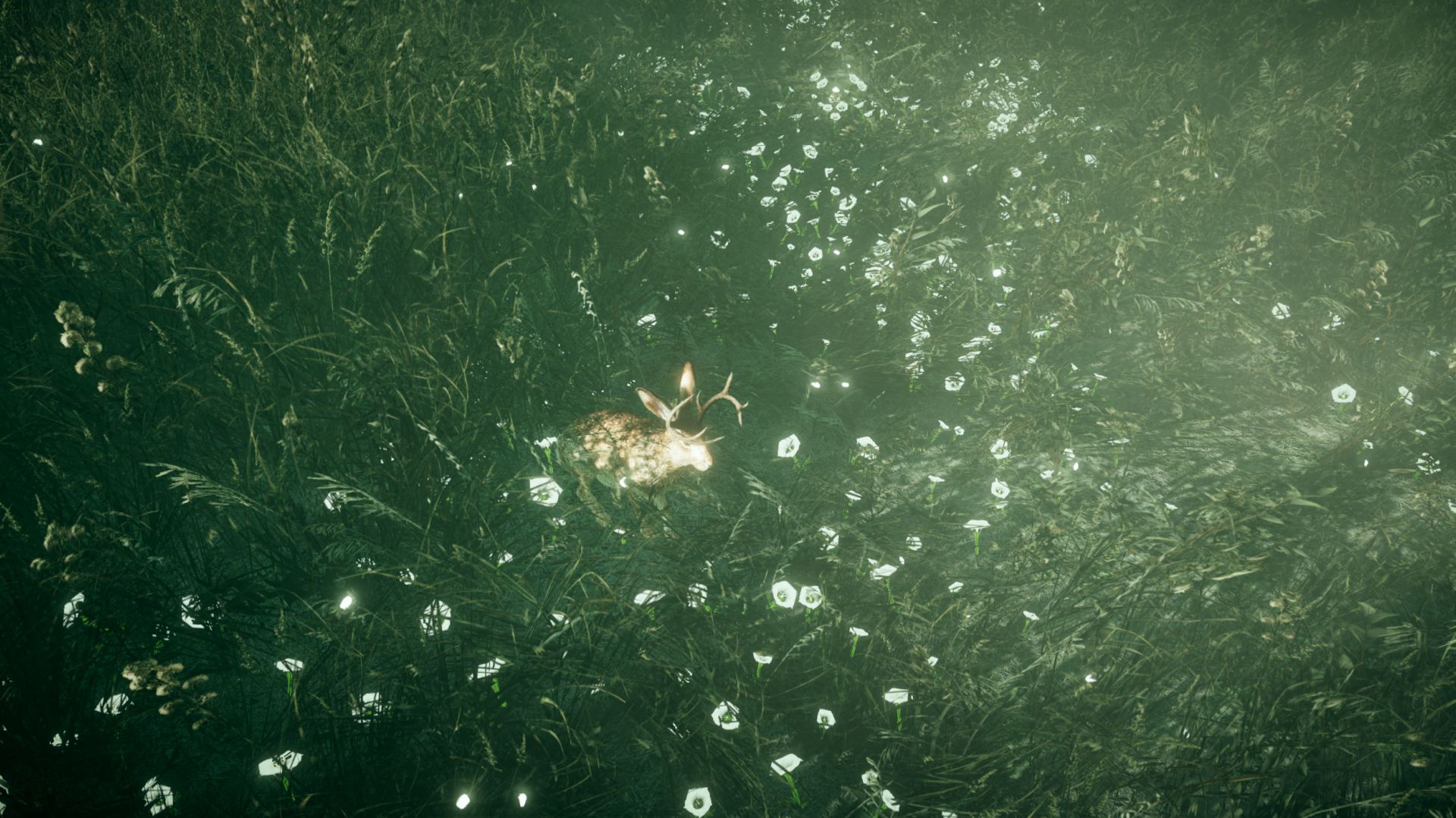 Время собирать камни