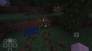 Майнкрафт и.. #43 СЛОМАТЬ КУСТ СО СВЕТЛЯЧКАМИ