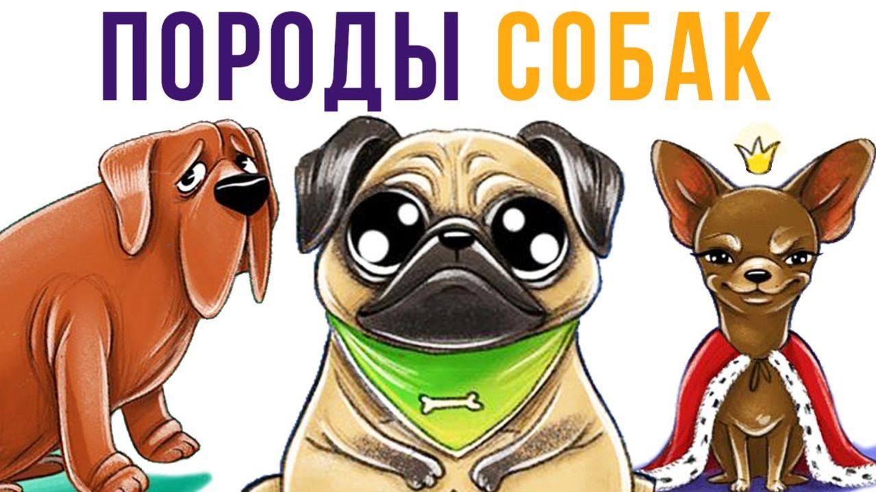 Породы собак) Комиксы