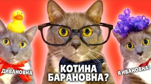 Kotiynet — 3 сезон, 46 серия. | 16+