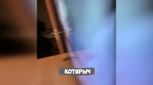 ПРИЯТНОГО!_😈_КОТЫ_ХУЛИГАНЫ,_НАГЛЕЦЫ!😼_ЛЮТЫЕ_ПРИКОЛЫ_ПРО_ЖИВОТНЫХ😹