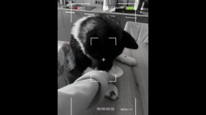 ЭС-224_ЭС-124_Дагаева Анастасия_Колотырина Екатерина_Breakfast in a dormitory