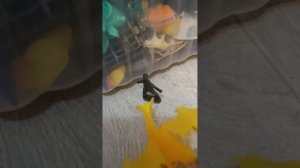 первая серия "кроко путешественник через миры"