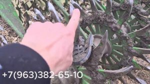 Наглядный пример на что нужно обращать внимание при выборе ротационных борон!