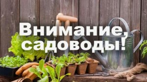 Сильнейшая молитва для дачников , огородников...