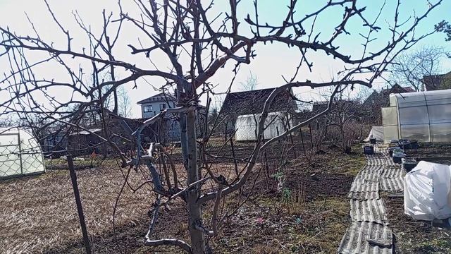 САД И ОГОРОД 21 МАРТА.