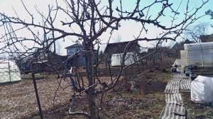 САД И ОГОРОД 21 МАРТА.