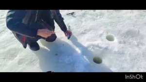 Основной водоём.Поимки