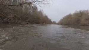 ВЕСЕННЯЯ РЫБАЛКА В ЛИПЕЦКОЙ ОБЛАСТИ