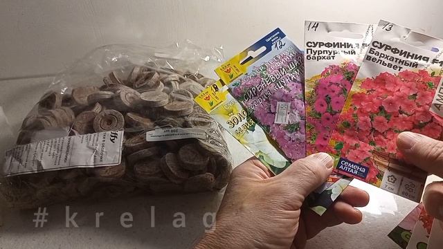 сажаю ПЕТУНЬИ в Подмосковье 🌺 новые сорта.